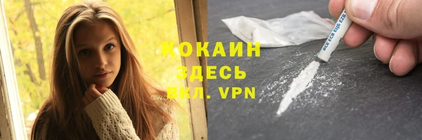 мдпв Корсаков