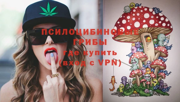 первитин Костерёво