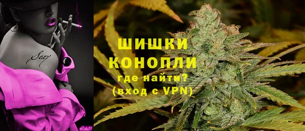 мяу мяу мука Сясьстрой