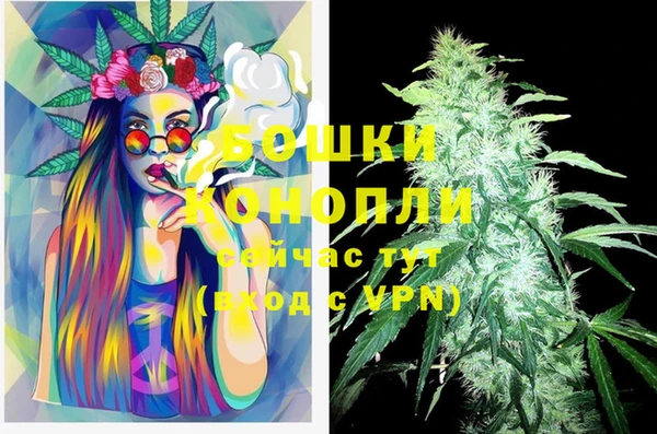 мдпв Корсаков
