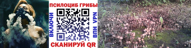 Купить Завитинск Псилоцибиновые грибы Magic Shrooms